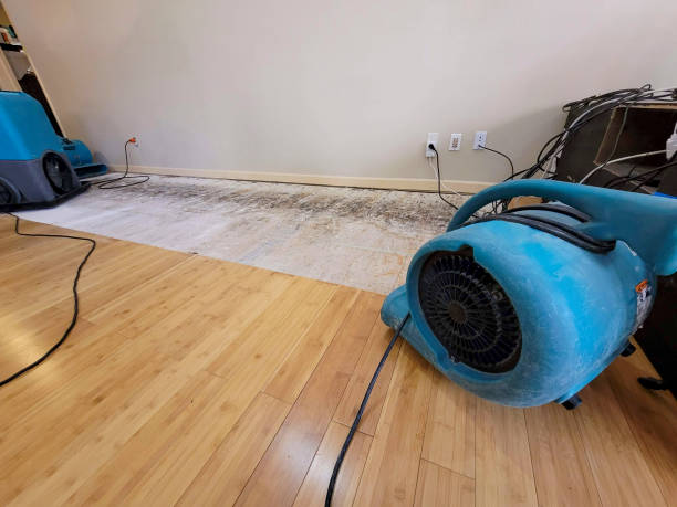 Professional Water Damage Repair technician working in Centerville, OH